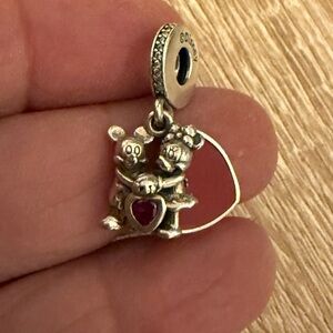 Silver and Red Pet Charm